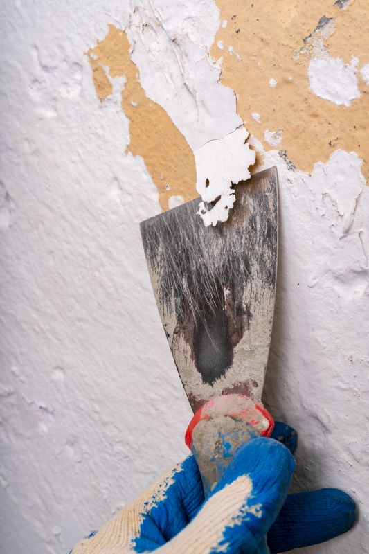 Concrete Paint Removal detail